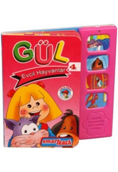 Gül 4 - Evcil Hayvanlar