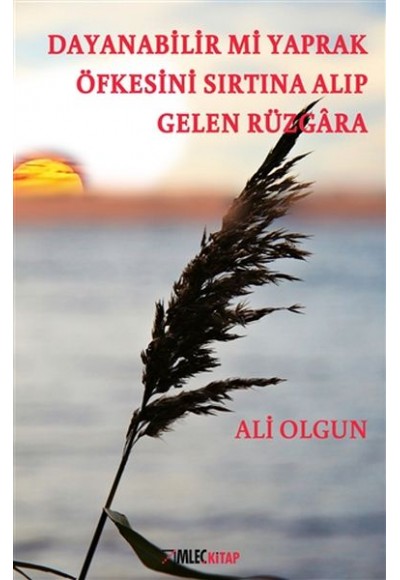 Dayanabilir mi Yaprak Öfkesini Sırtına Alıp Gelen Rüzgara