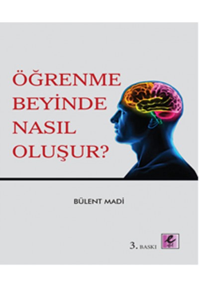 Öğrenme Beyinde Nasıl Oluşur?