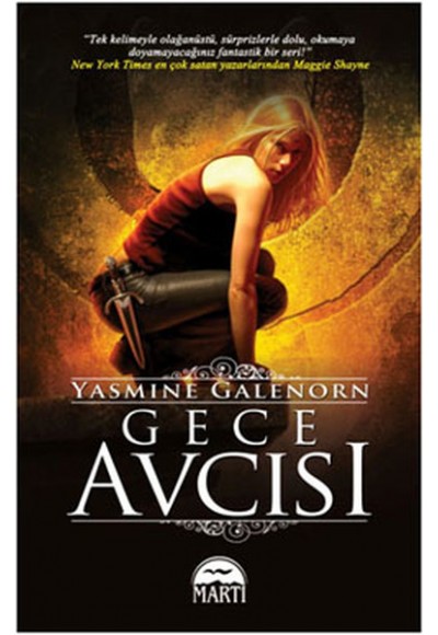 Gece Avcısı