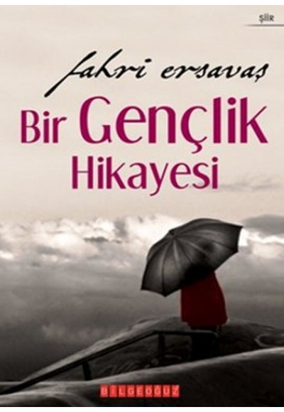 Bir Gençlik Hikayesi