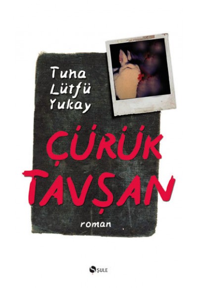 Çürük Tavşan