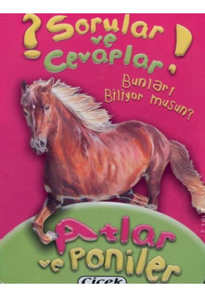 Sorular Ve Cevaplar Kart Atlar Ve Poniler