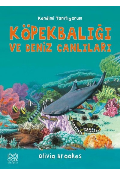 Köpekbalığı ve Deniz Canlıları - Kendimi Tanıtıyorum