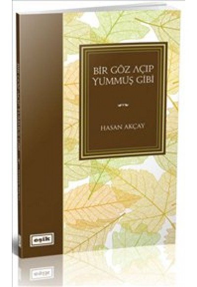 Bir Göz Açıp Yummuş Gibi