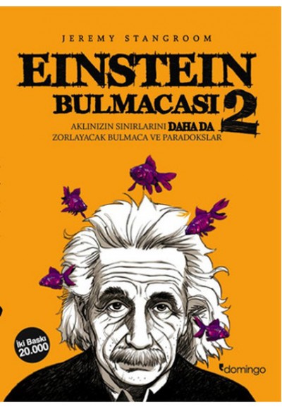 Einstein Bulmacası 2  Aklınızın Sınırlarını Zorlayacak Bulmaca ve Paradokslar