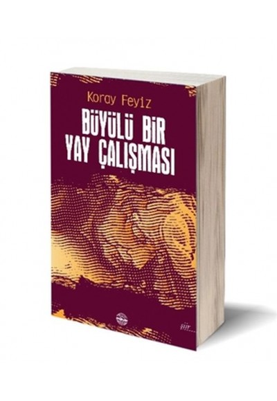 Büyülü Bir Yay Çalışması