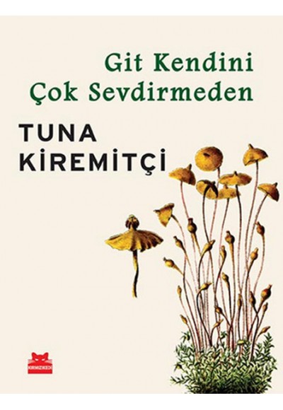 Git Kendini Çok Sevdirmeden