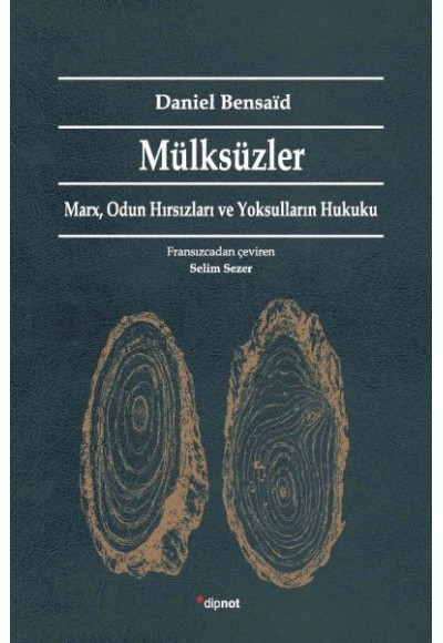 Mülksüzler