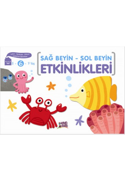 Sağ Beyin - Sol Beyin Etkinlikleri (6 Yaş)