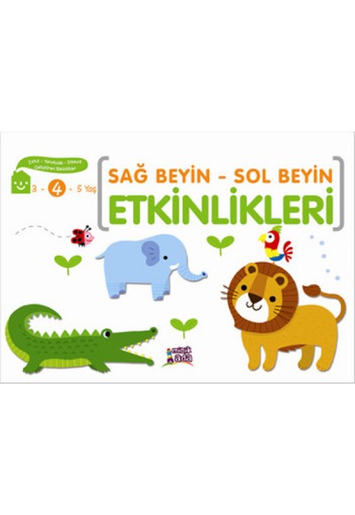 Sağ Beyin - Sol Beyin Etkinlikleri (4 Yaş)