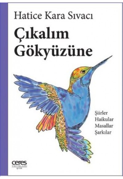 Çıkalım Gökyüzüne