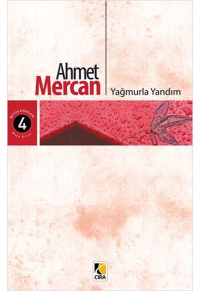 Yağmurla Yandım