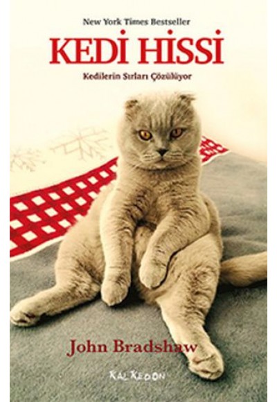 Kedi Hissi