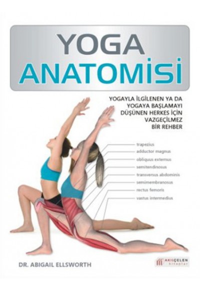 Yoga Anatomisi