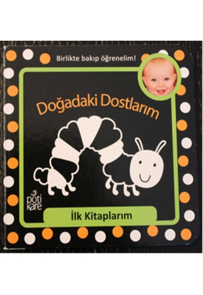 İlk Kitaplarım Serisi: Doğadaki Dostlarım