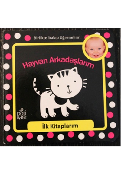 İlk Kitaplarım Serisi: Hayvan Arkadaşlarım