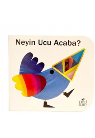 Neyin Ucu Acaba?