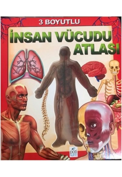 3 Boyutlu İnsan Vücudu Atlası