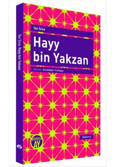 Hayy Bin Yakzan