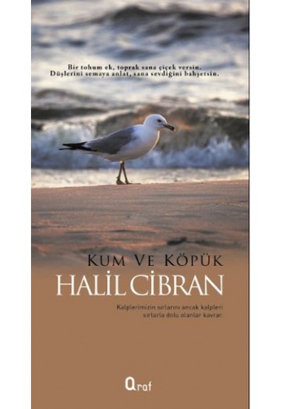 Kum ve Köpük