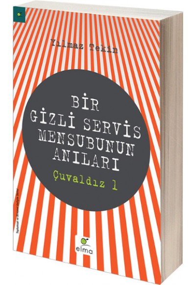 Bir Gizli Servis Mensubunun Anıları