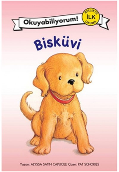 Bisküvi