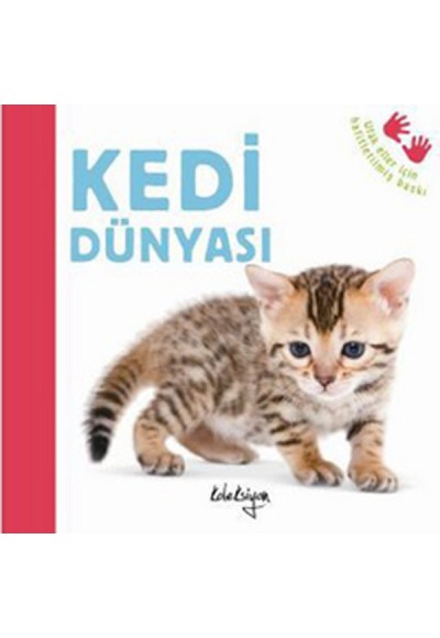 Kedi Dünyası