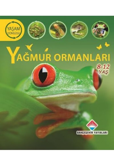 Yaşam Döngüsü - Yağmur Ormanları (8-12 Ages)