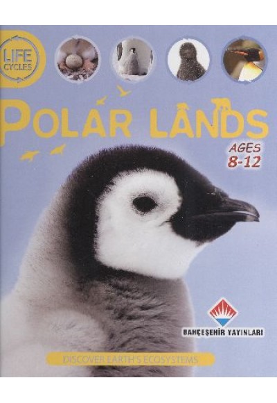 Life Cycles - Polar Lands (8-12 Ages)