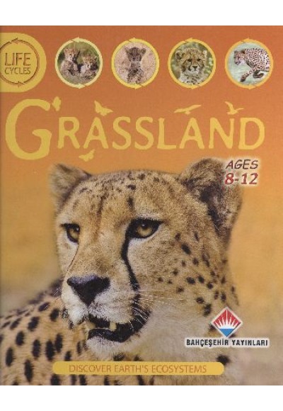 Life Cycles - Grassland (8-12 Ages)