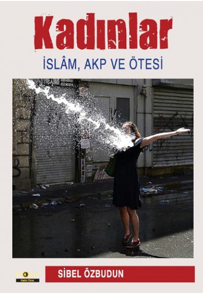 Kadınlar İslam, Akp ve Ötesi