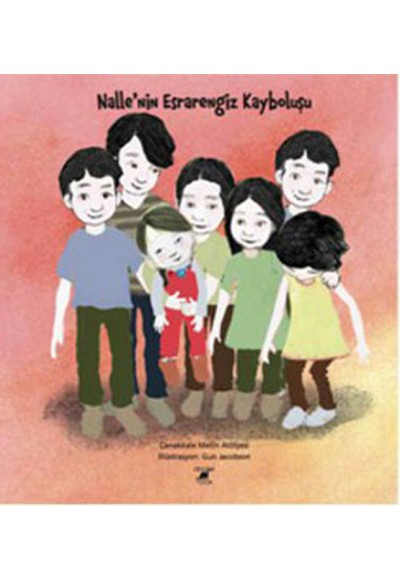 Nalle'nın Esrarengiz Kayboluşu