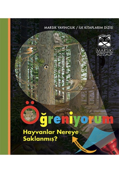 Öğreniyorum / Hayvanlar Nereye Saklanmış?