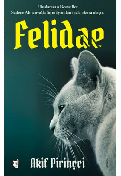 Felidae