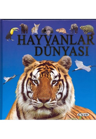 Hayvanlar Dünyası