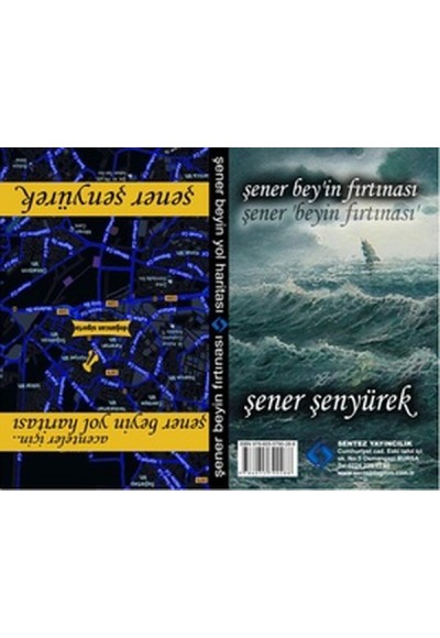 Şener Bey'in Fırtınası - Şener Bey'in Yol Haritası