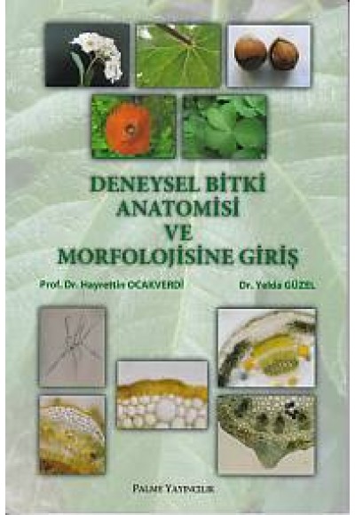 Deneysel Bitki Anatomisi ve Morfolojisine Giriş