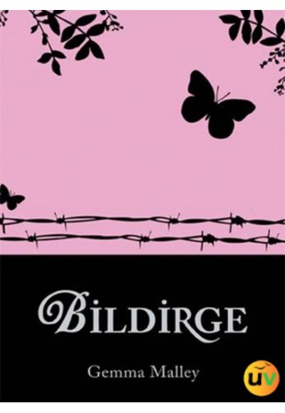 Bildirge