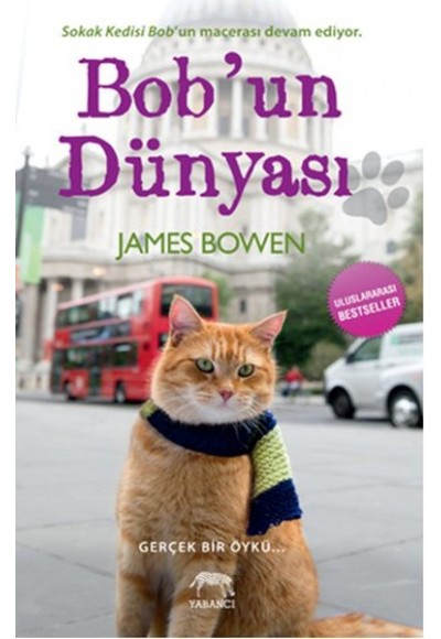 Bob'un Dünyası