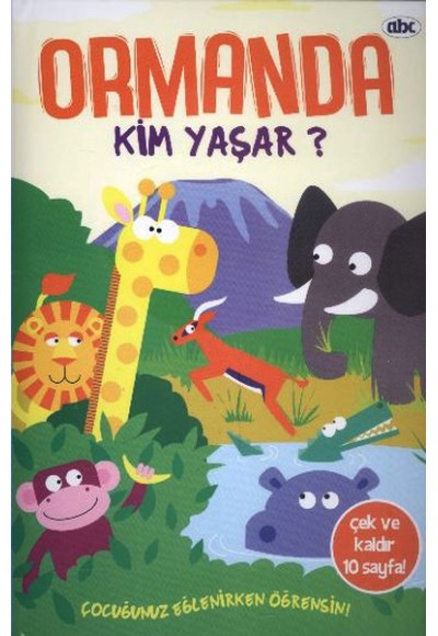 Ormanda Kim Yaşar (Ciltli)