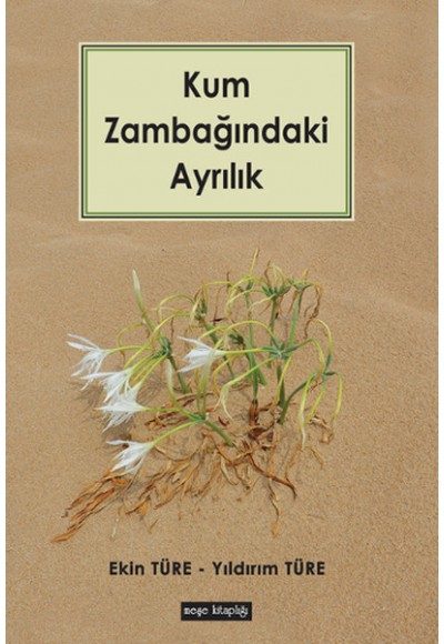 Kum Zambağındaki Ayrılık