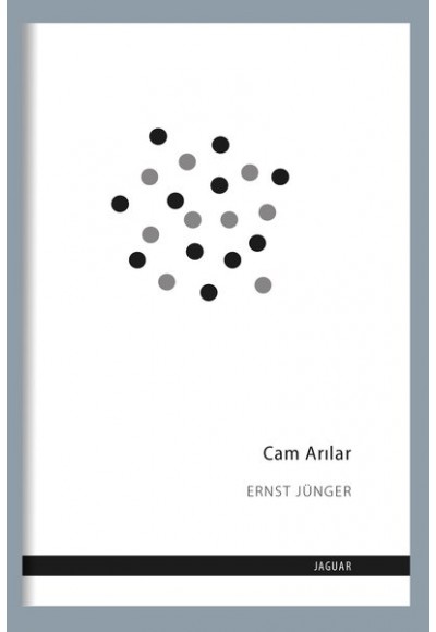 Cam Arılar
