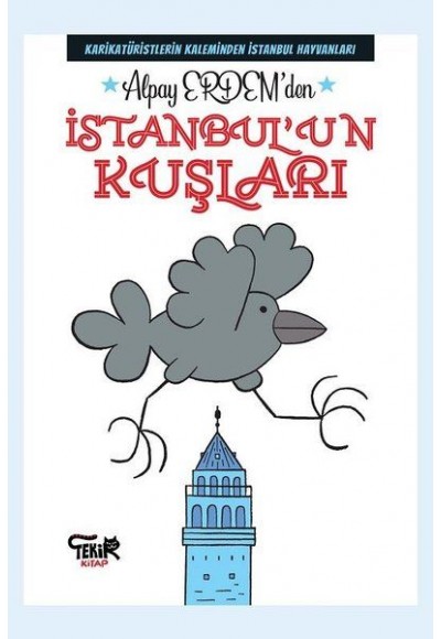 İstanbul'un Kuşları