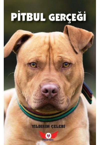 Pitbul Gerçeği
