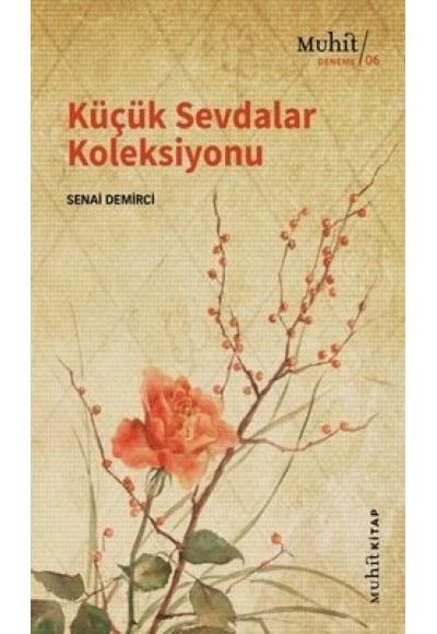 Küçük Sevdalar Koleksiyonu