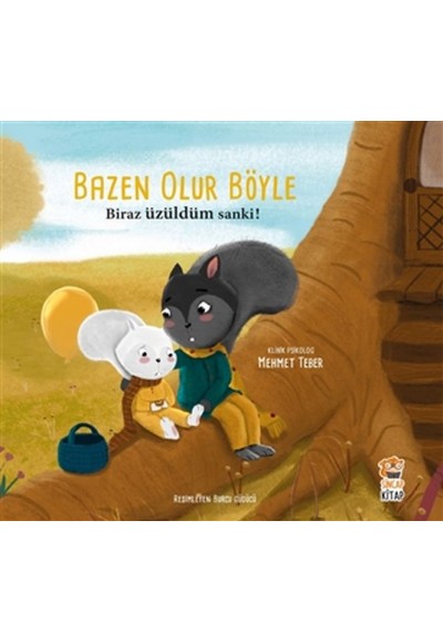 Biraz Üzüldüm Sanki! - Bazen Olur Böyle