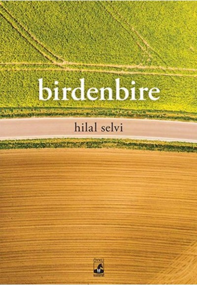 Birdenbire