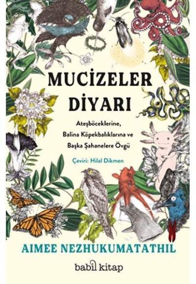 Mucizeler Diyarı