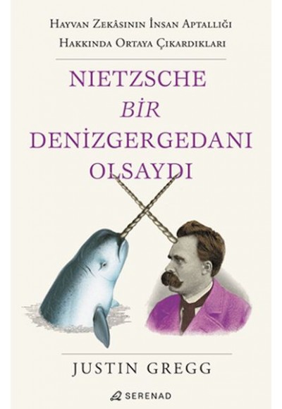 Nietzsche Bir Denizgergedanı Olsaydı